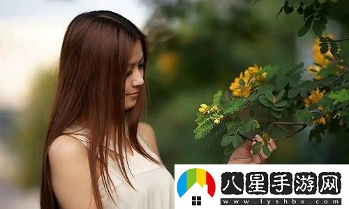 混亂小鎮售票員用b檢票txt