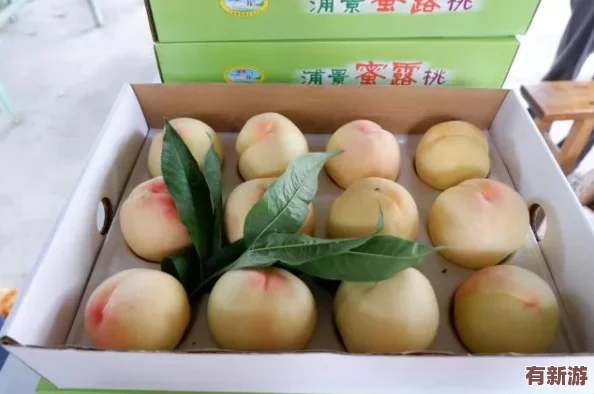 一區二區三區水蜜桃＂熱銷(xiāo)市場(chǎng)