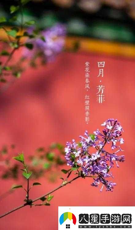 怡春院分院在線(xiàn)直播