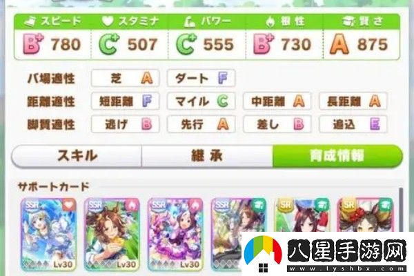 優(yōu)雅少女琵琶晨光的培養秘籍與提升技巧詳解