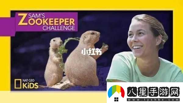 ZOOKEEPER另類(lèi)探索Zookeeper的獨特應用與挑戰