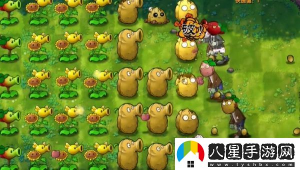 植物大戰僵尸融合版第5關(guān)通關(guān)技巧和攻略分享