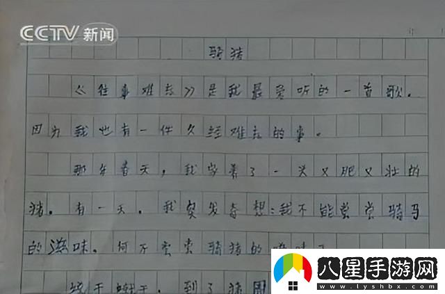 鄉村支教的“笑話(huà)”