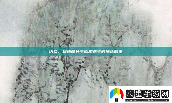 訪(fǎng)談