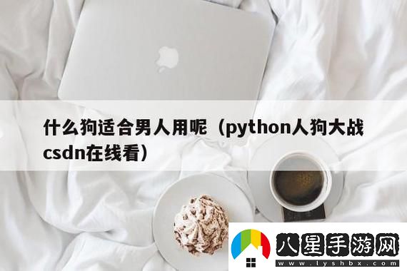 碼農狂歡