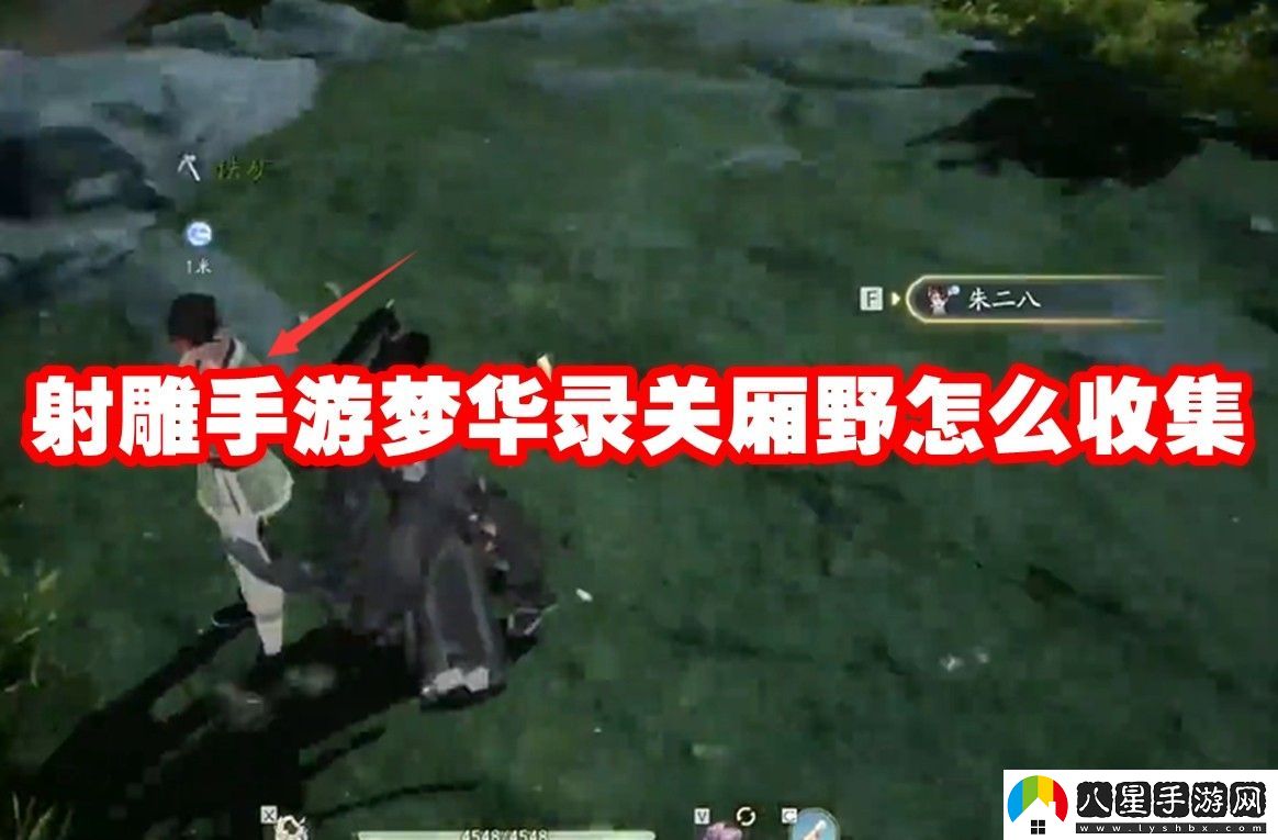 射雕手游夢(mèng)華錄關(guān)廂野全收集攻略