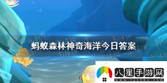 以下哪種魚(yú)類(lèi)有水中軟黃金之稱(chēng)
