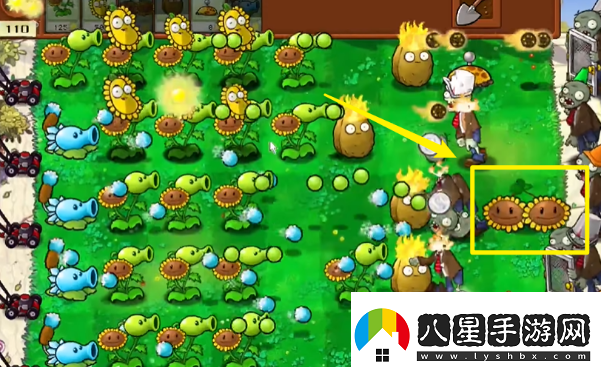 植物大戰僵尸雜交版怎么玩