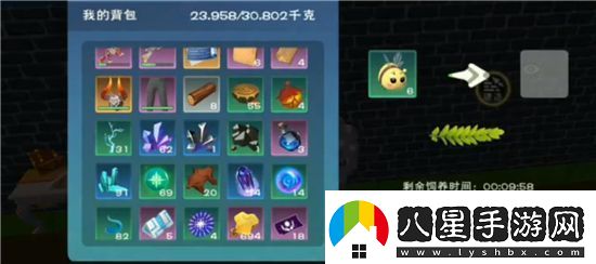 創(chuàng  )造與魔法小蜜蜂蜂箱怎么獲得