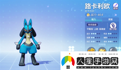 寶可夢(mèng)大集結路卡利歐持有物選什么