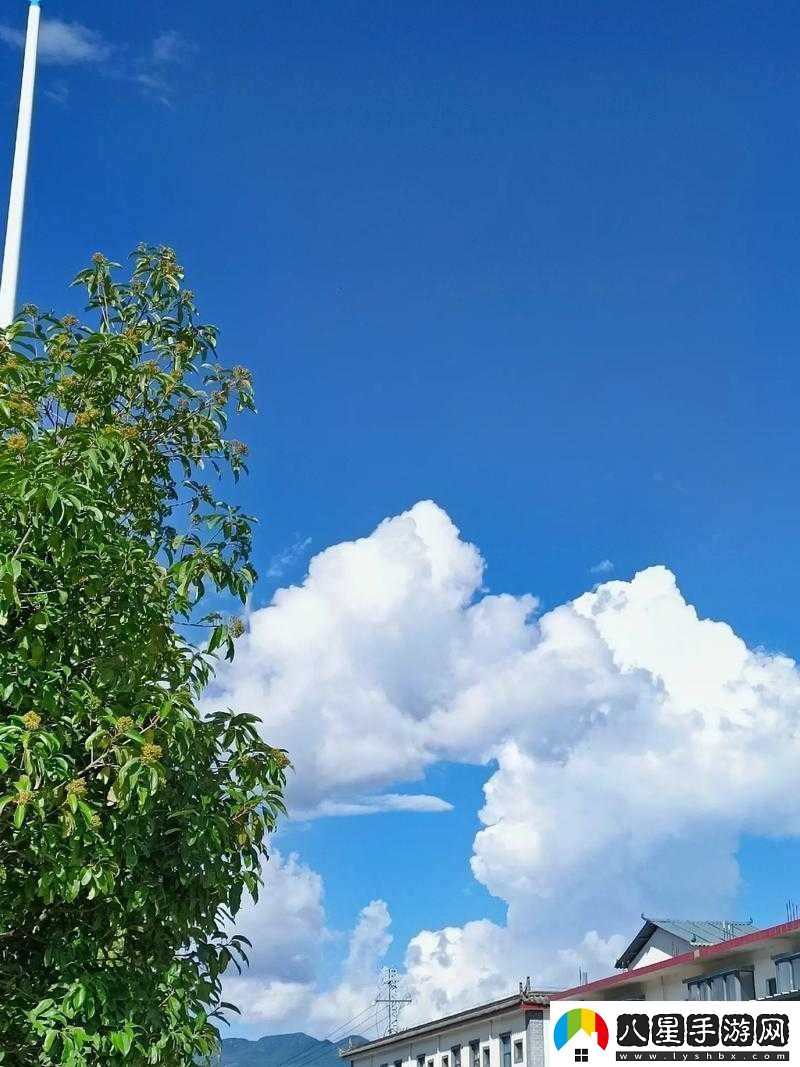 分享抖音愛(ài)就像藍天白云原版視頻感受美好時(shí)光