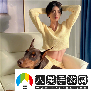 中老年人的大BwBwB所包含的內容都很贊