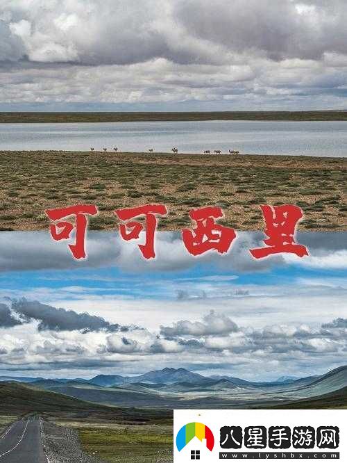 神秘無(wú)人區編碼