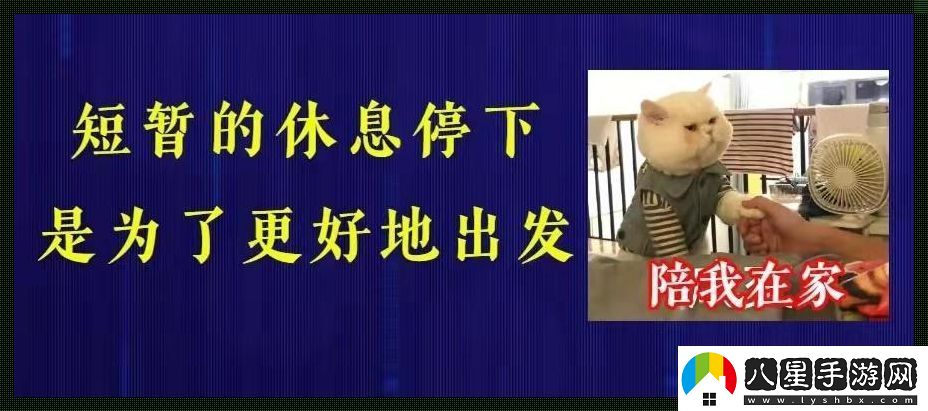 “停！校園里的時(shí)間凝固了