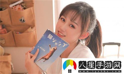 高清WINDOWS免費版觀(guān)看視頻更加流暢與便捷的選擇
