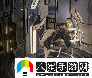 Warframe庫娃與星際戰甲的貓