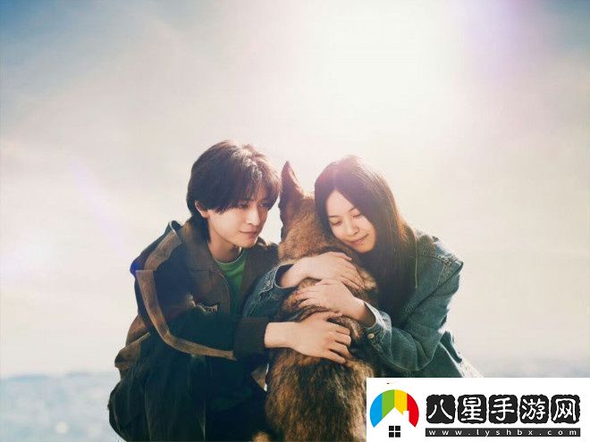 少年與犬預告首發(fā)高橋文哉主演直木獎力作
