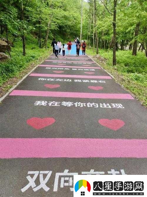 愛(ài)情路線(xiàn)測試二免費