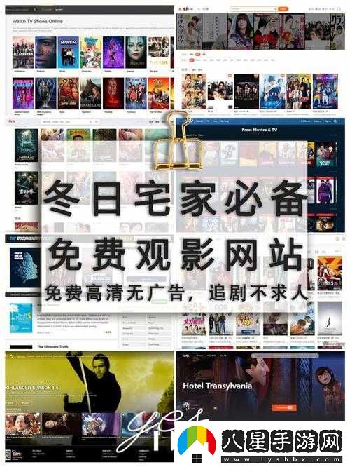 免費網(wǎng)站在線(xiàn)觀(guān)看人數在哪網(wǎng)站