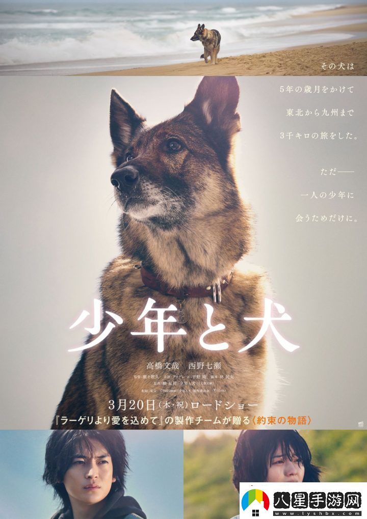 少年與犬預告首發(fā)高橋文哉主演直木獎力作