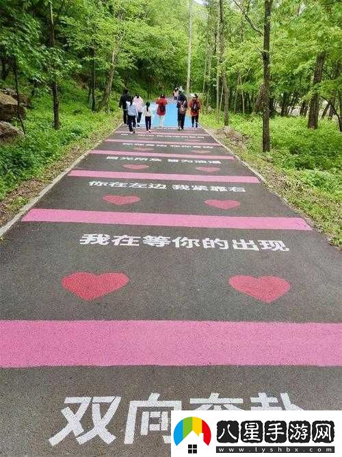 愛(ài)情路線(xiàn)測試二免費