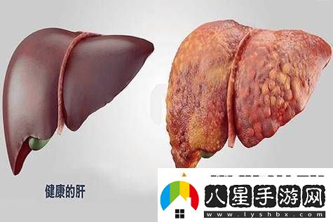 老公每天吃我小花園會(huì )傷肝嗎