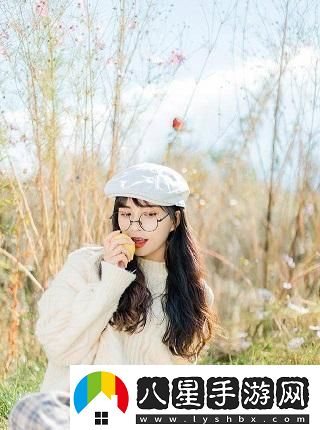 日產(chǎn)mv和歐美mv的區別