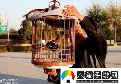 “八旬翁養鳥(niǎo)