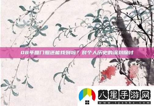 08年雁門(mén)照還能找到嗎