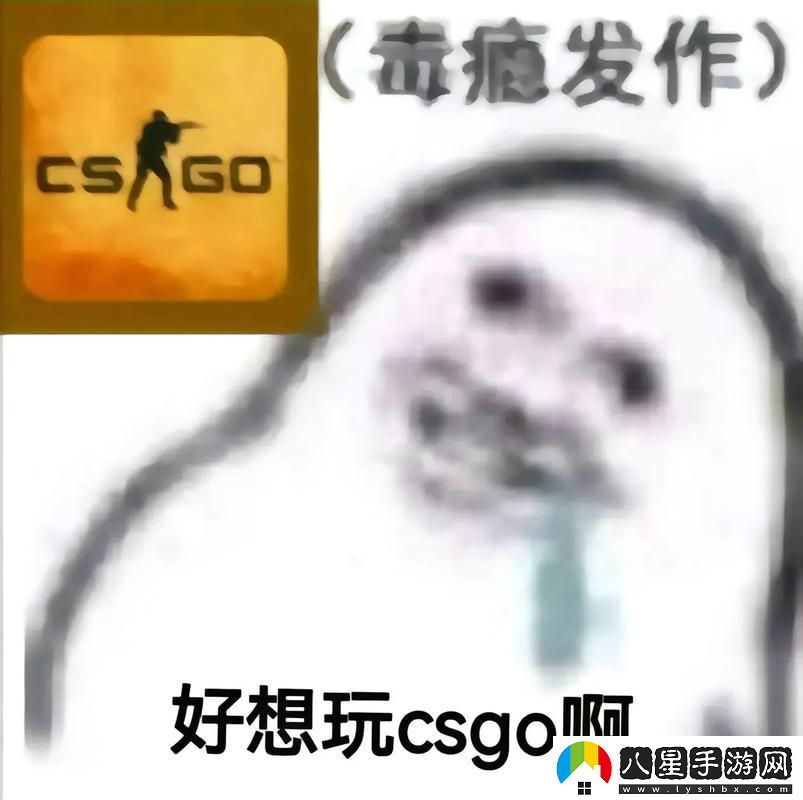 高齡“狙神”崛起！揭秘55歲大媽玩轉CSGO的另類(lèi)傳奇