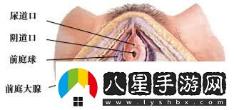 女生喊疼時(shí)