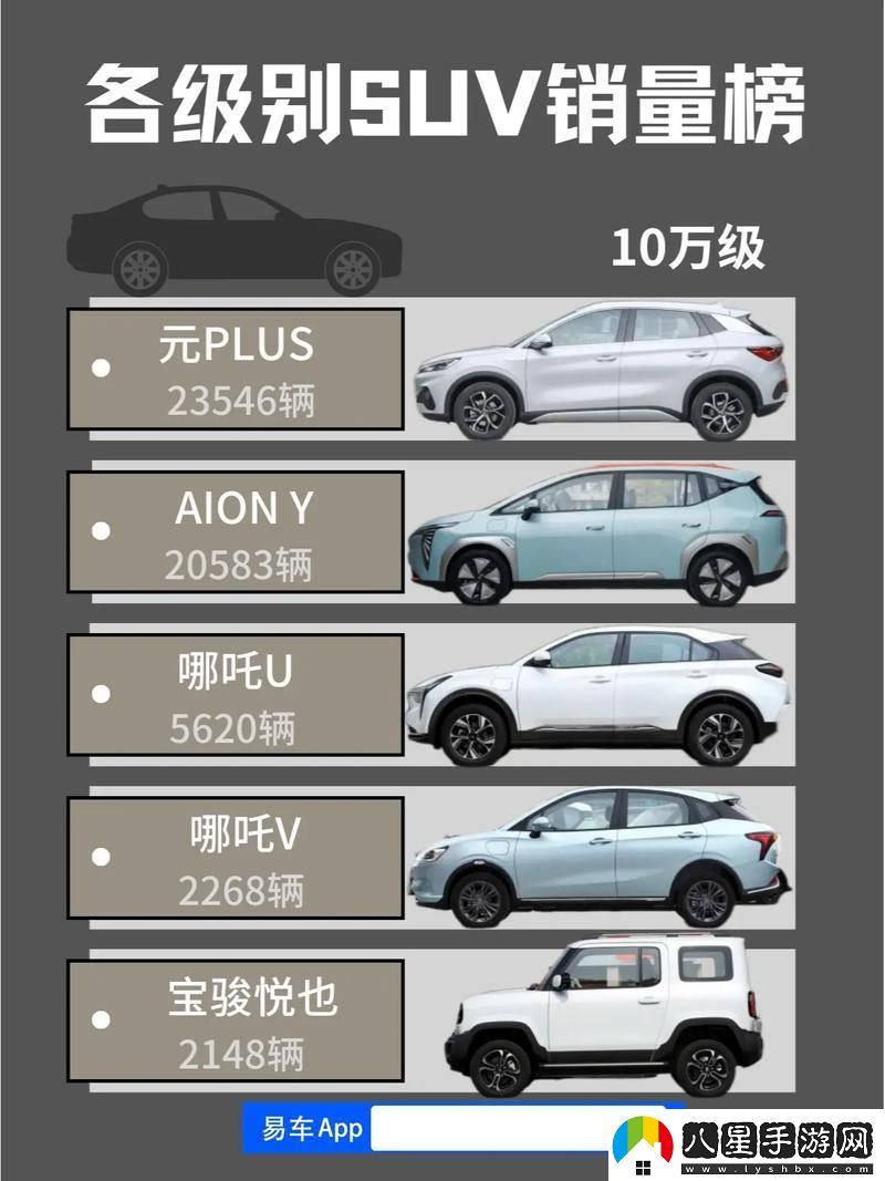 SUV純電動(dòng)狂歡