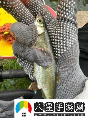釣魚(yú)佬游戲中釣魚(yú)技巧大揭秘