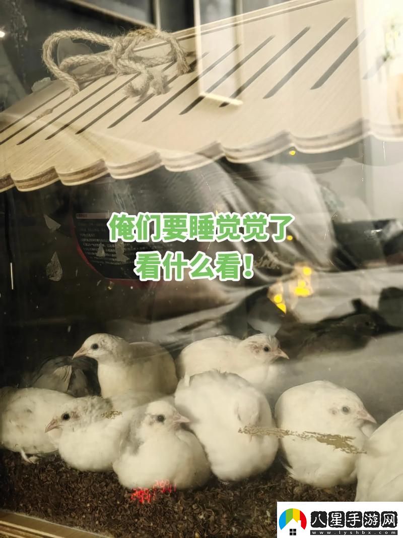 睡覺(jué)握雛雞一晚科技界炸了！