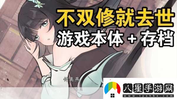 不雙修就去世補丁安裝全攻略及游戲玩法深度解析
