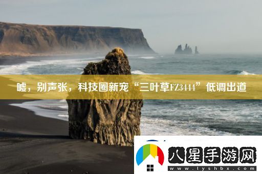 噓別聲張科技圈新寵“三葉草FZ3444”低調出道