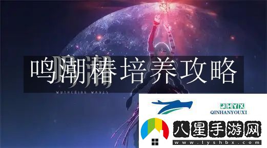 鳴潮椿怎么培養鳴潮椿培養攻略