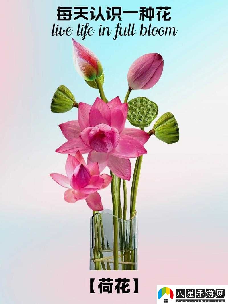 女性半夜蓮花開(kāi)放的治療