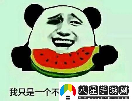 奇觀(guān)51CG1