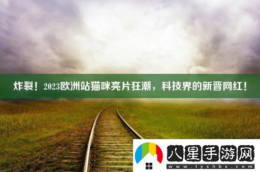 炸裂！2023歐洲站貓咪亮片狂潮