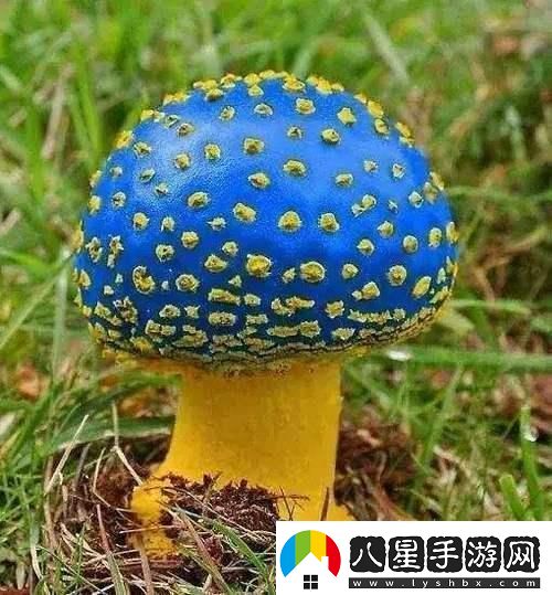 蘑菇mogula笑不活了科技圈新晉“網(wǎng)紅”的這點(diǎn)事！