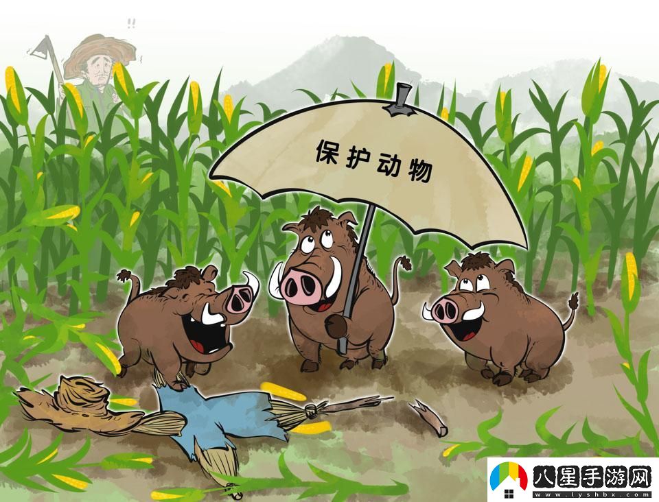 人類(lèi)VS禽獸