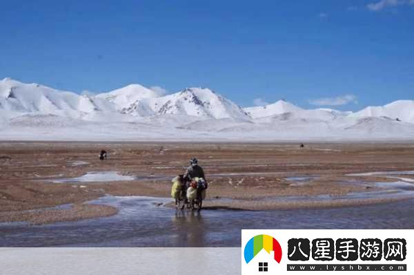 無(wú)人區探險
