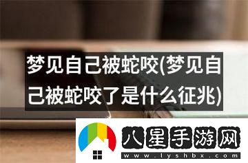 夢(mèng)游科技新境界