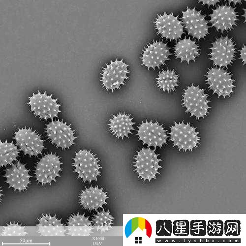 探索我的世界微觀(guān)世界