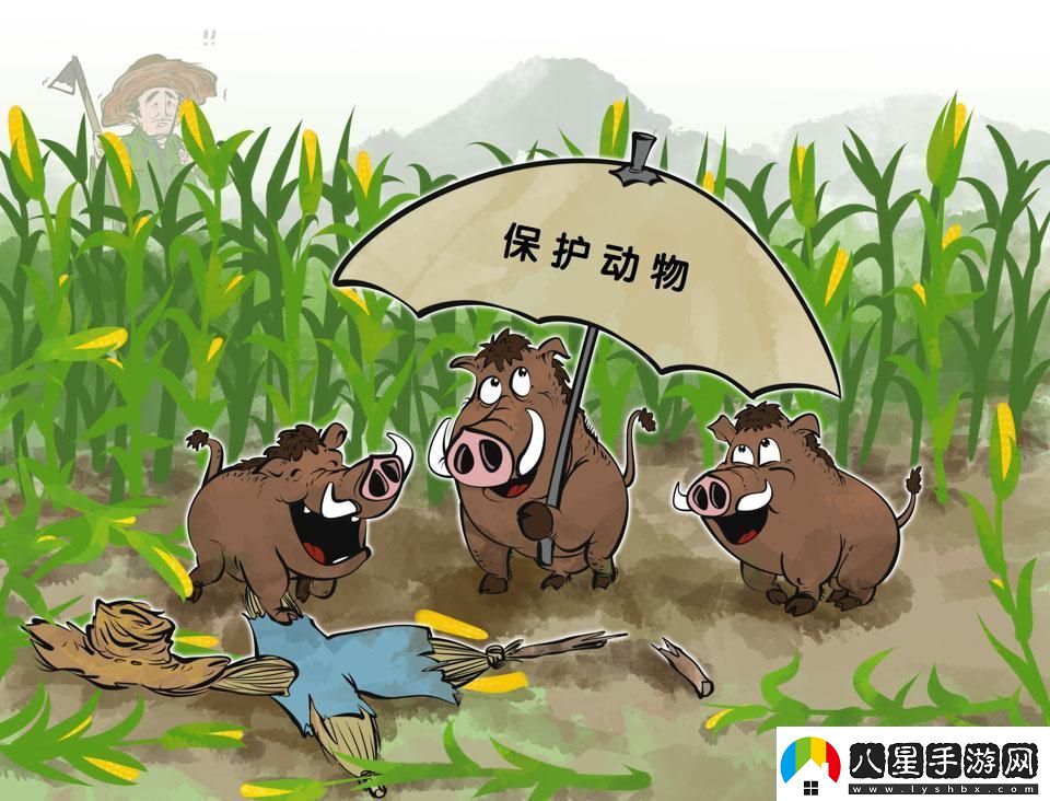 人類(lèi)VS禽獸