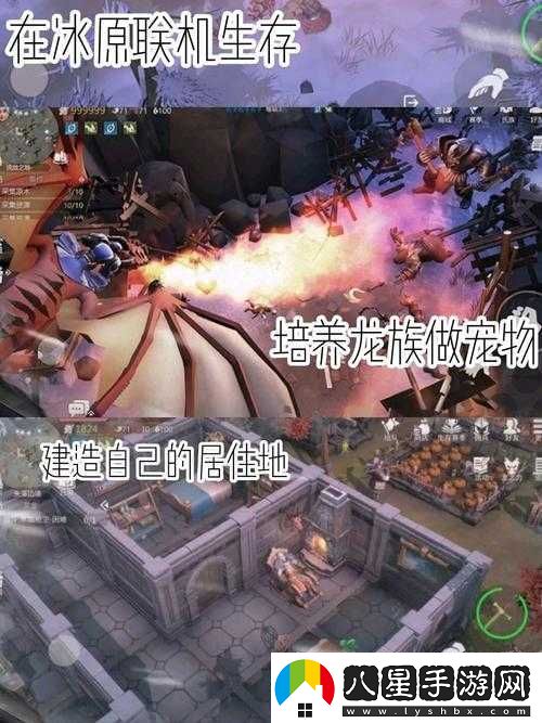 探索冰原守衛者