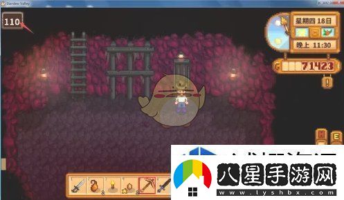 星露谷物語(yǔ)黑暗試劑任務(wù)怎么做