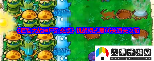 植物大戰僵尸雜交版挑戰模式第66關(guān)怎么過(guò)關(guān)