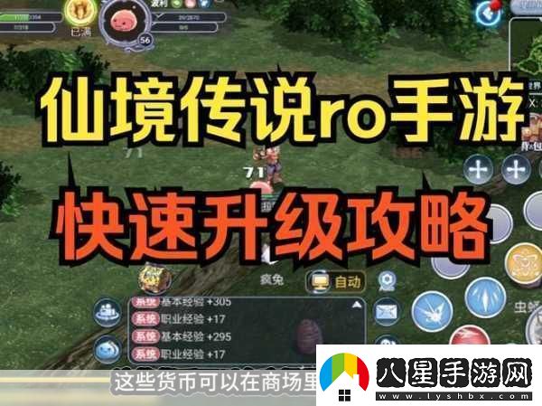 仙境傳說(shuō)RO手游快速升級秘籍